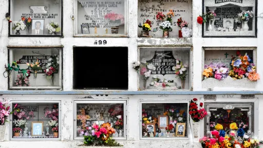 Crypt 499