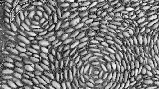 Circle Patterns