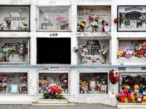 Crypt 499